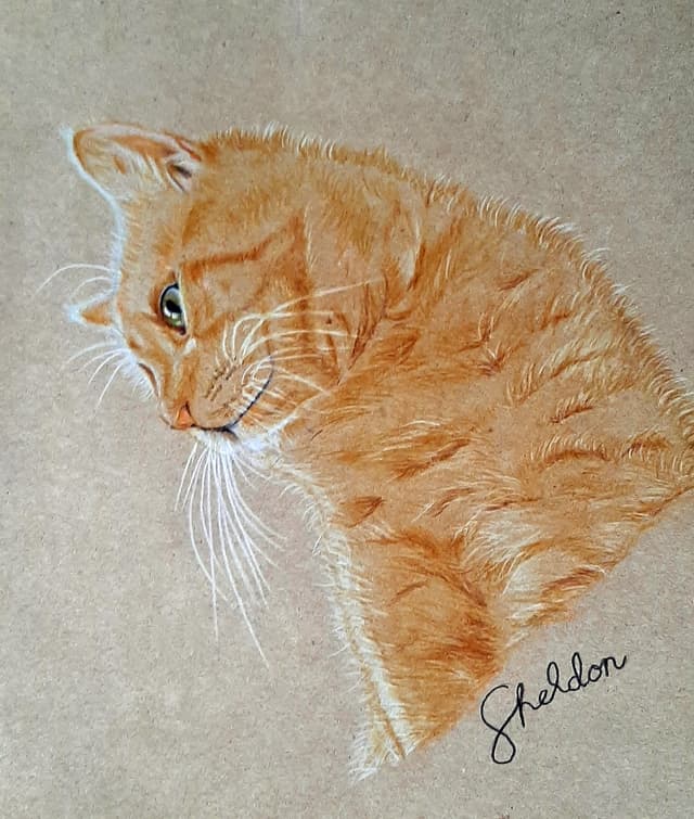 Cat Artwork
